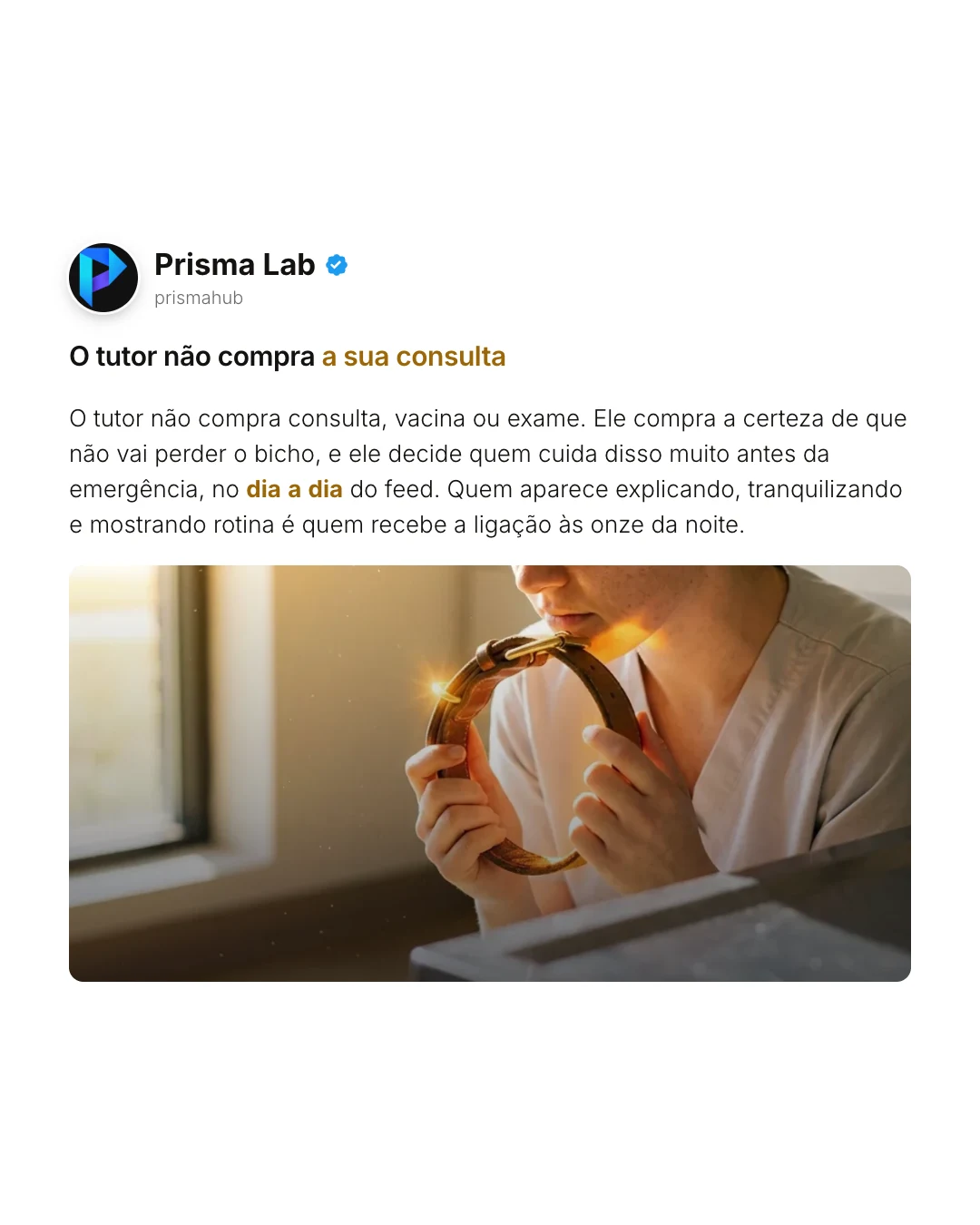 Carrossel de Pet gerado no Prisma